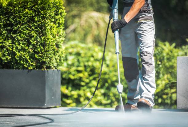 Best Oil Spill Cleanup  in Ithaca, NY