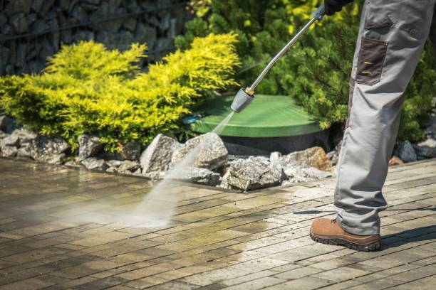 Boat and Dock Cleaning in Ithaca, NY